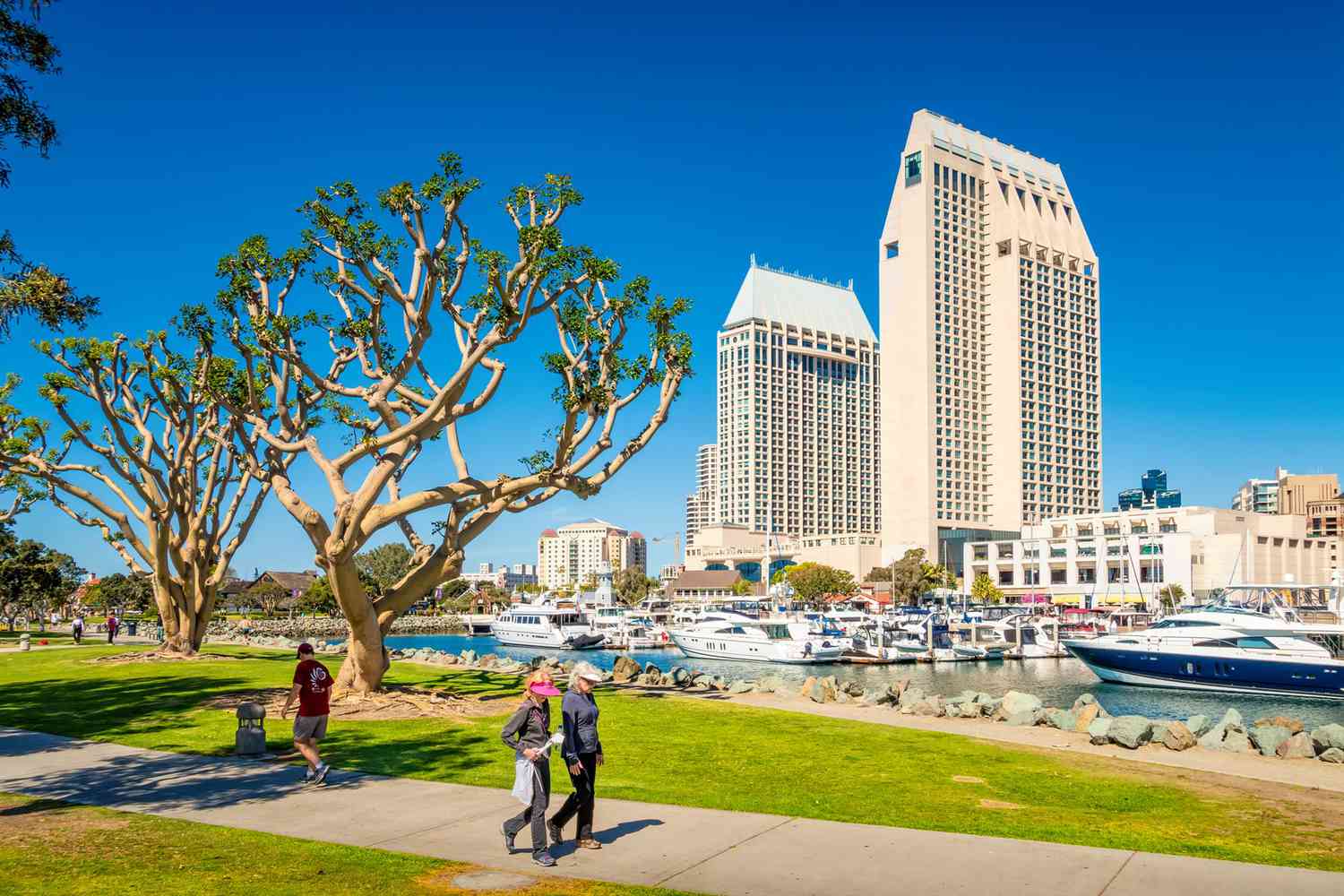 Individual, Business and Specialty Transport Services in the city of San Diego.