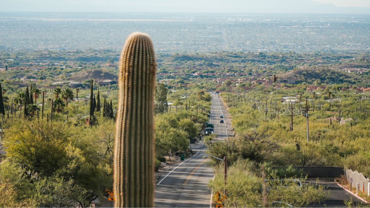 Understanding the Cost of Living in Mesa, Arizona