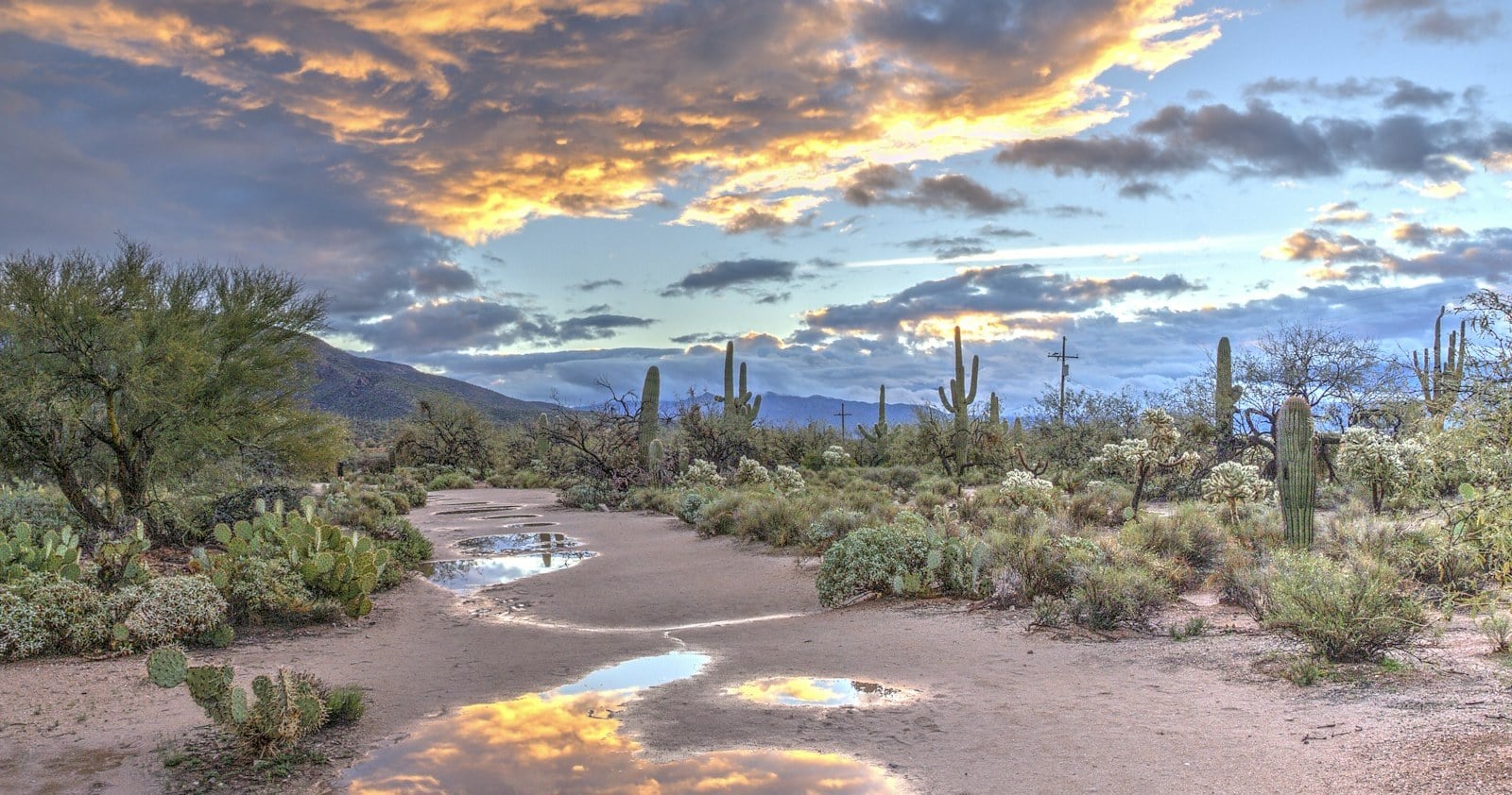 Desert sunrise at Sabino Canyon in Tucson