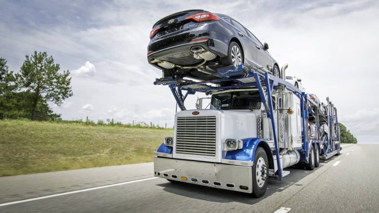 Specialty Transport Services