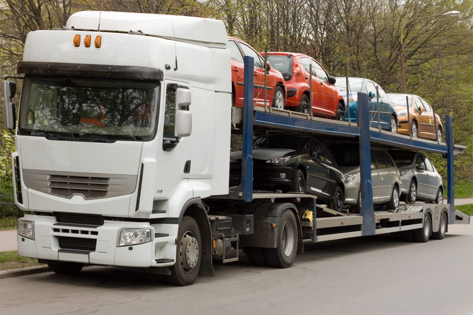 Specialty Transport Services