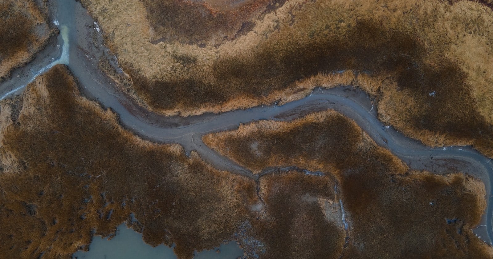Aerial view of the salt marsh at Caddy Memorial Park in Quincy, Massachusetts