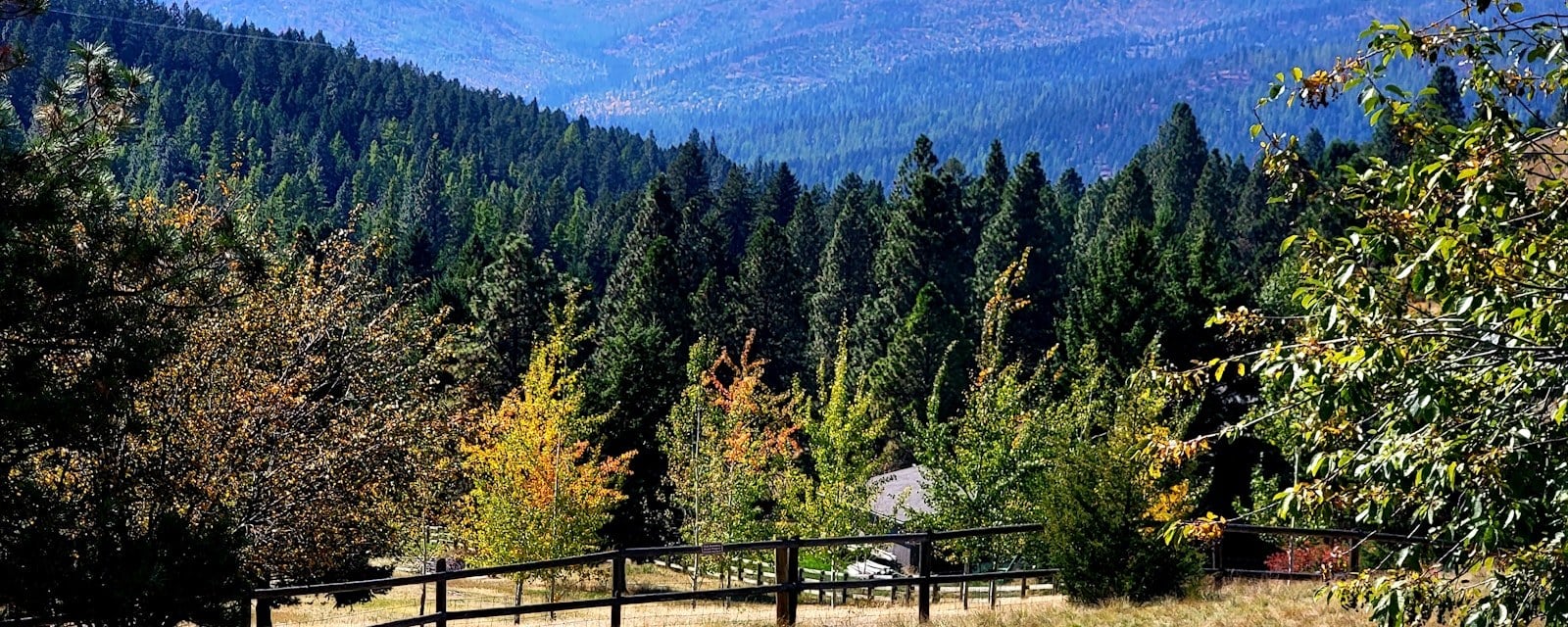 Lone Pine State Park overlook, Kalispell Montana