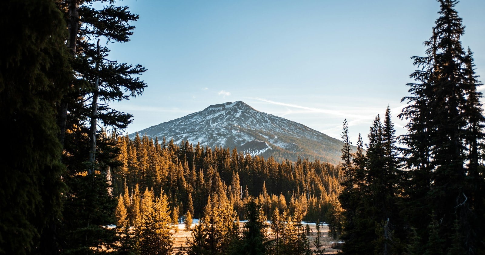 Mt Bachelor above fall forest near Bend, Oregon