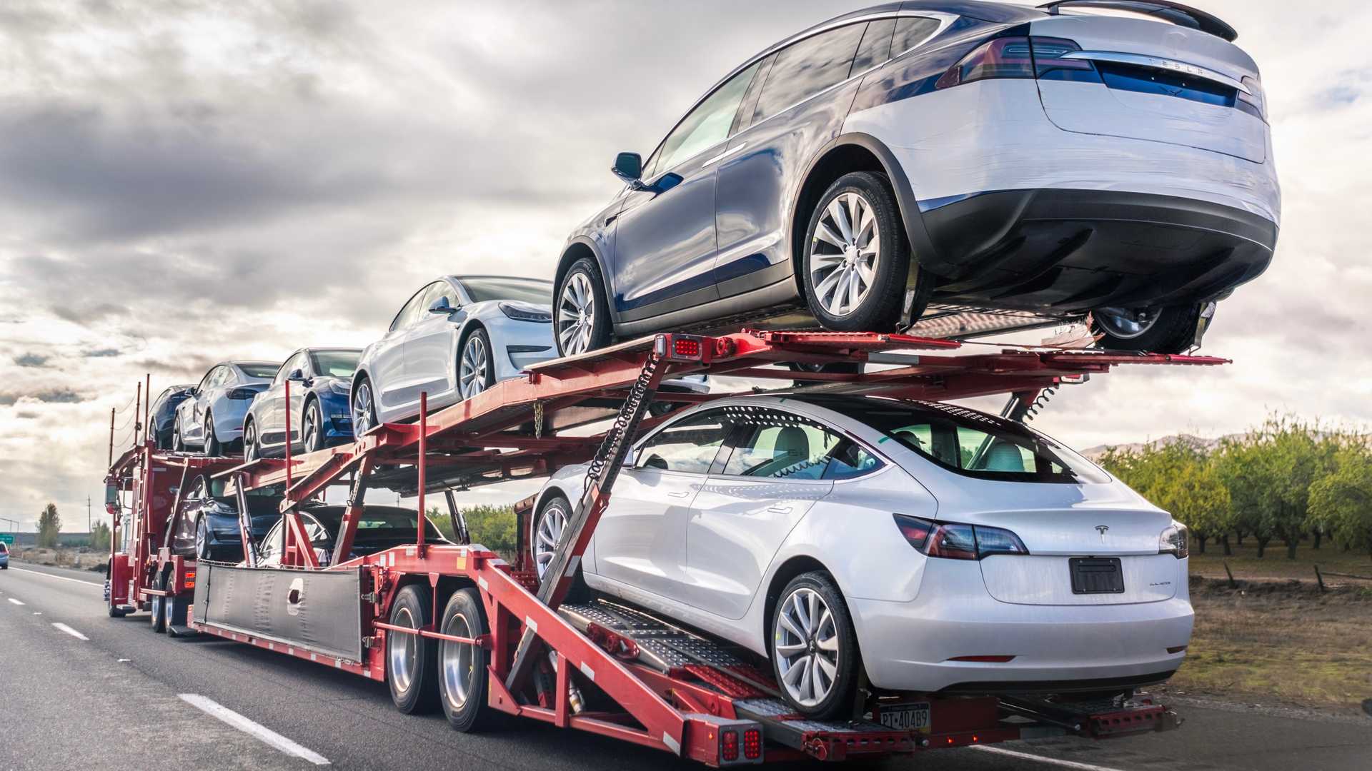 Specialty Transport Services