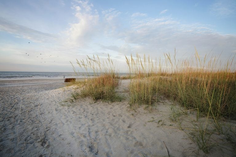 Sandy beach and dune grass on Hilton Head Island