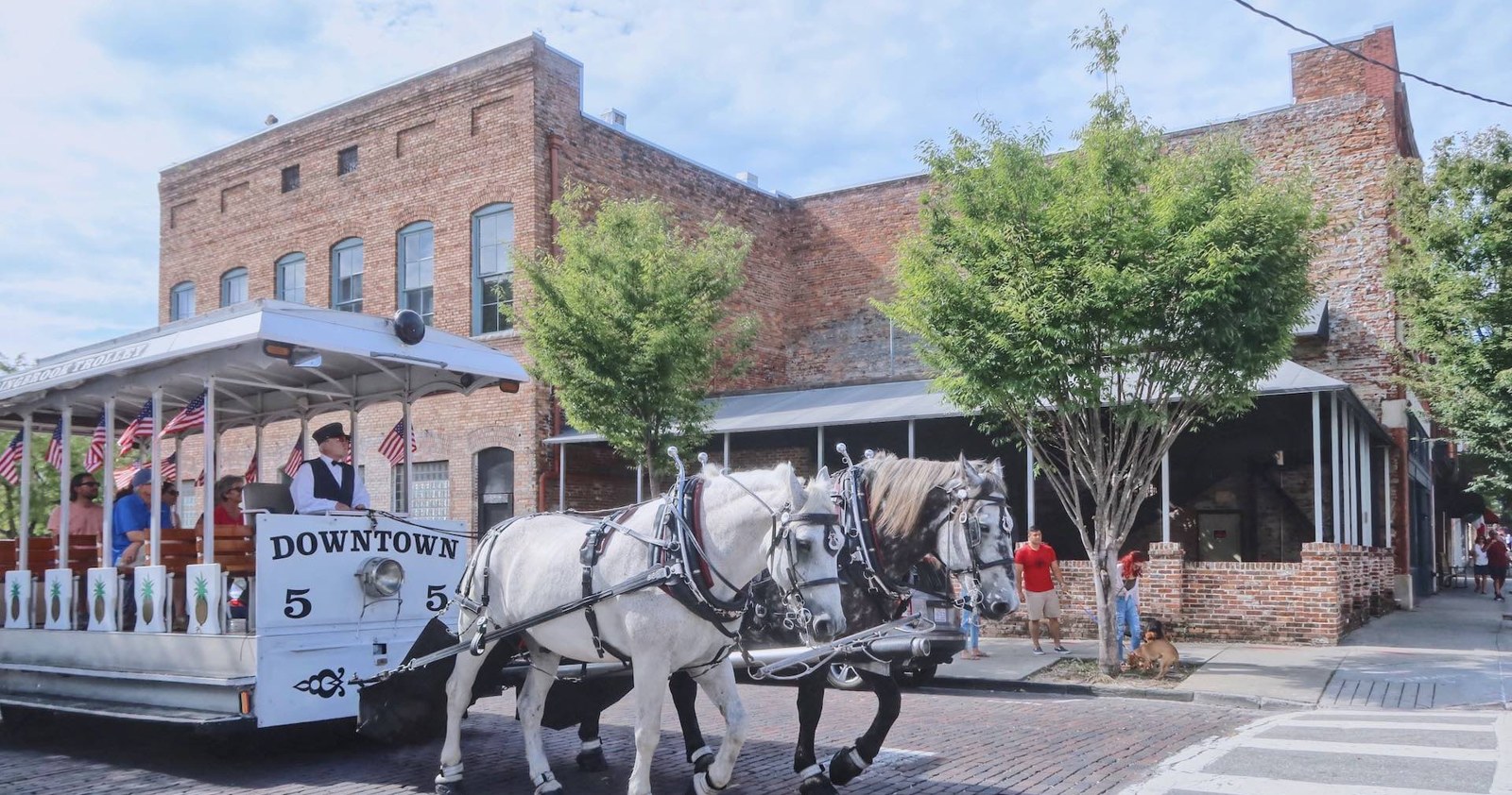 Horse-drawn trolley in downtown Wilmington, North Carolina