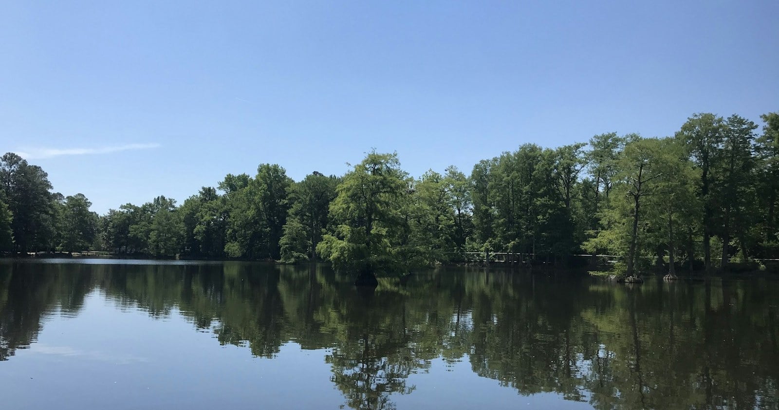 Lake and greenery in Sumter South Carolina