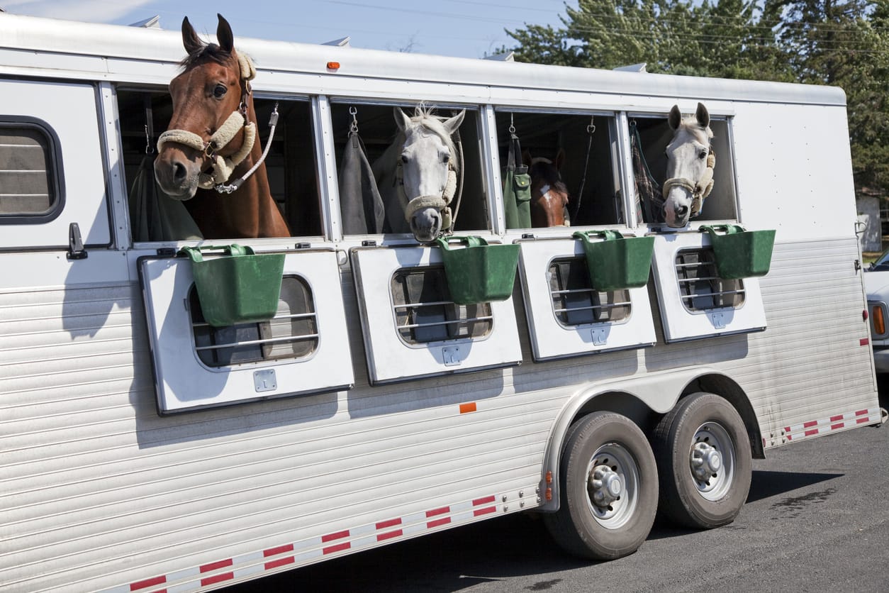 What You Need to Know When Transporting New and Used Horse Trailers