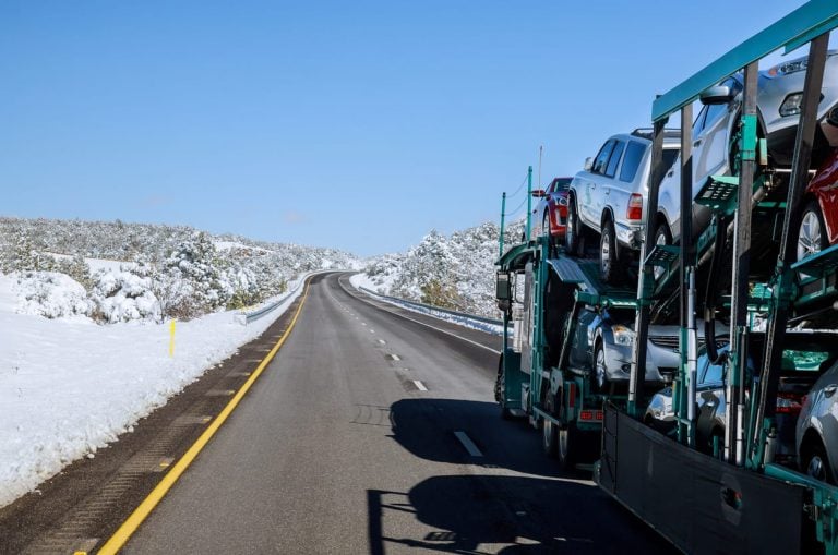 Snowbird Car Transport to Texas