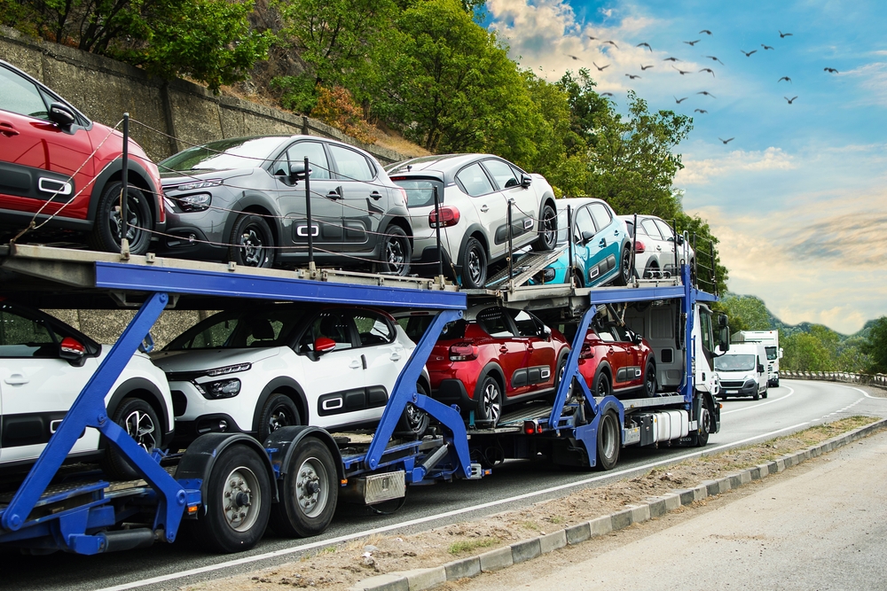 Transportation Expenses