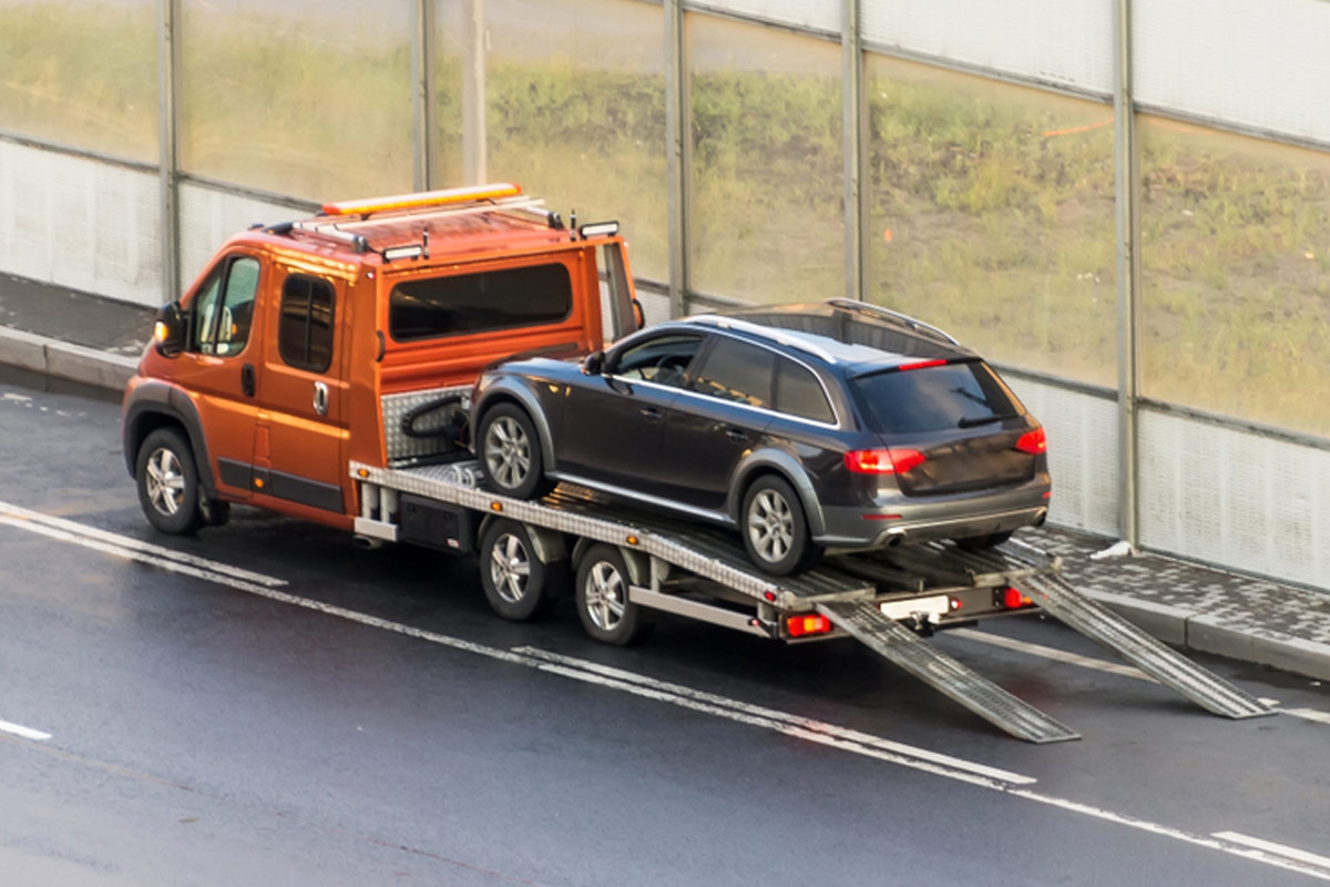 What Sets Your Palm Bay Car Shipping Price