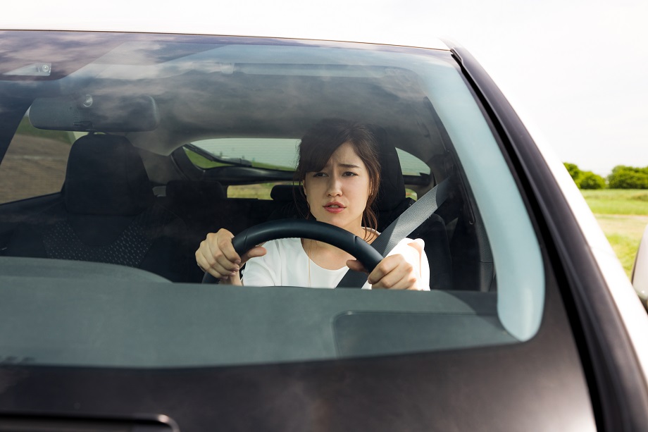 Drive the Car Yourself