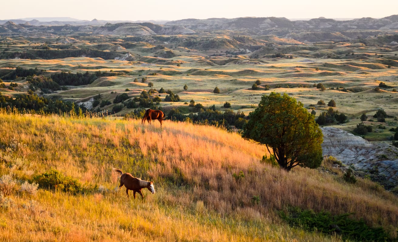 Watford City, ND