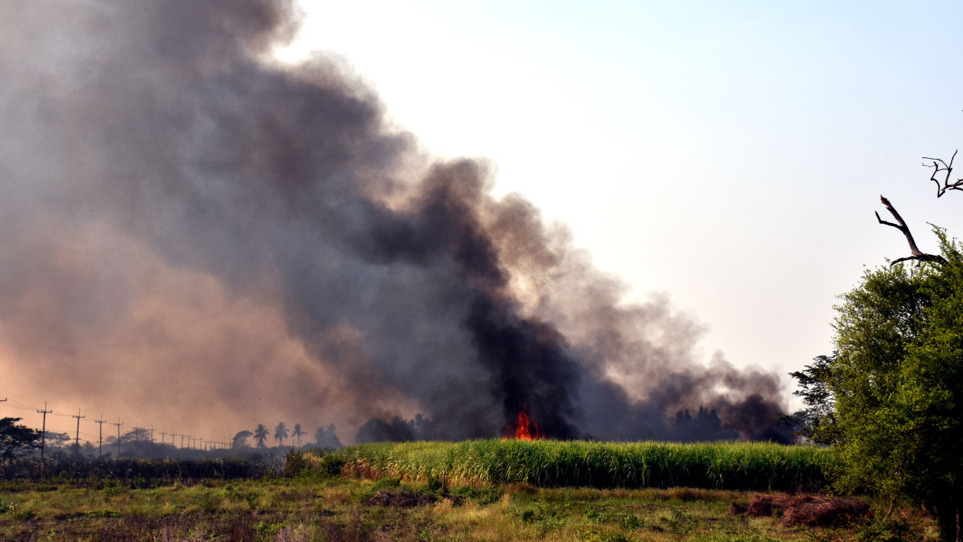 Shipping Cars in Wildfire Conditions