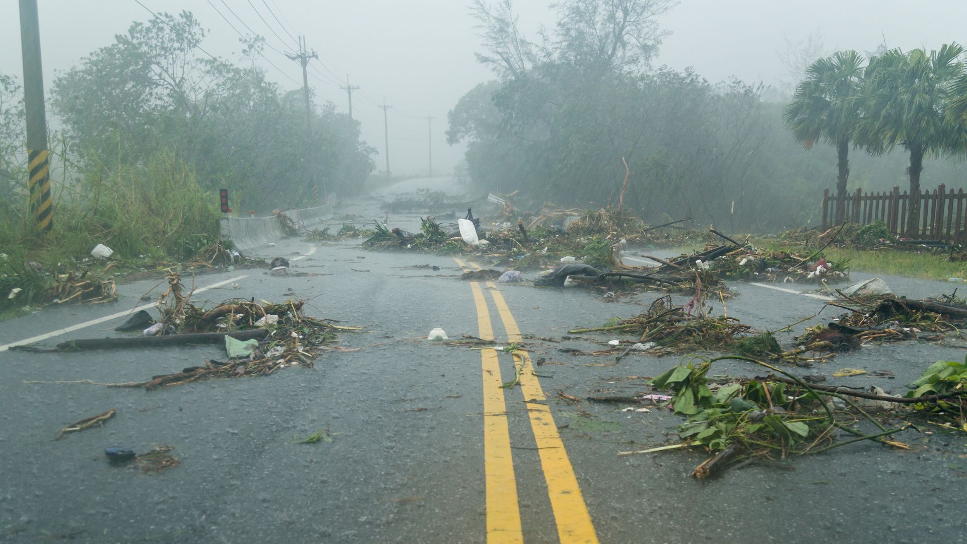 Shipping Cars in Hurricane Conditions