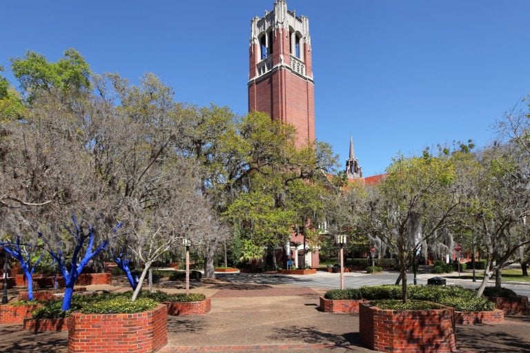 How to Ship a Car to or from the University of South Florida - USF Tampa