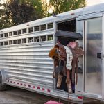 Horse Trailer Shipping