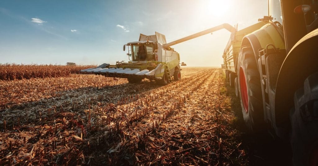 Harvesting in autumn