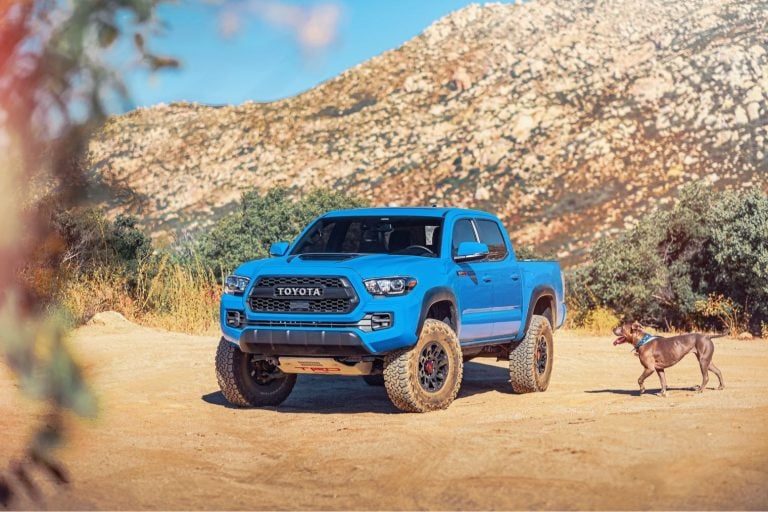 Unleashing the Beasts: The Best Off-Road Vehicles of 2023
