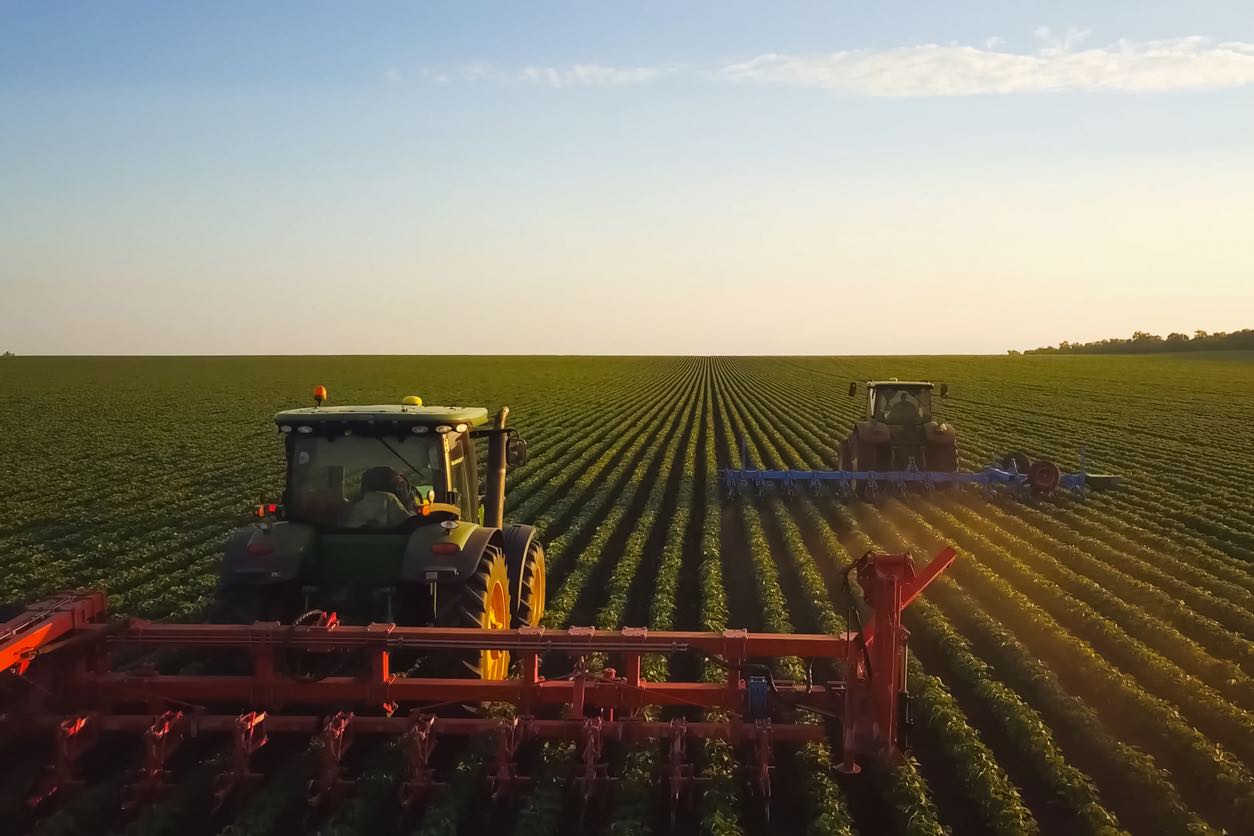 2. Row Crop Tractors: The Agricultural All-Rounders