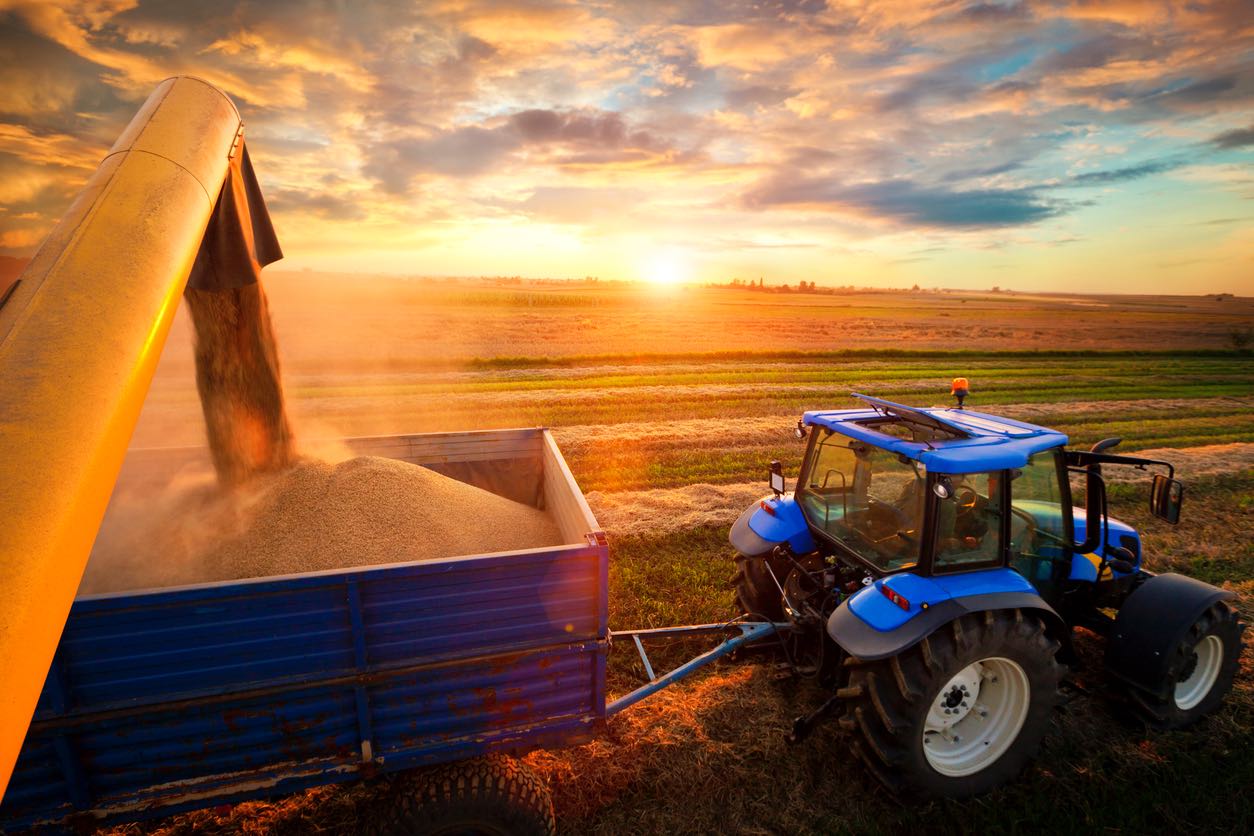 Pioneers in Dairy and Livestock Care