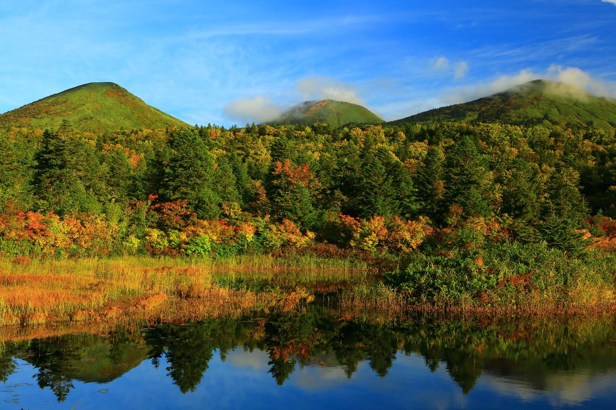 7. Discover Mount Snow: A Snowmobiler's Paradise in Vermont's Green Mountains