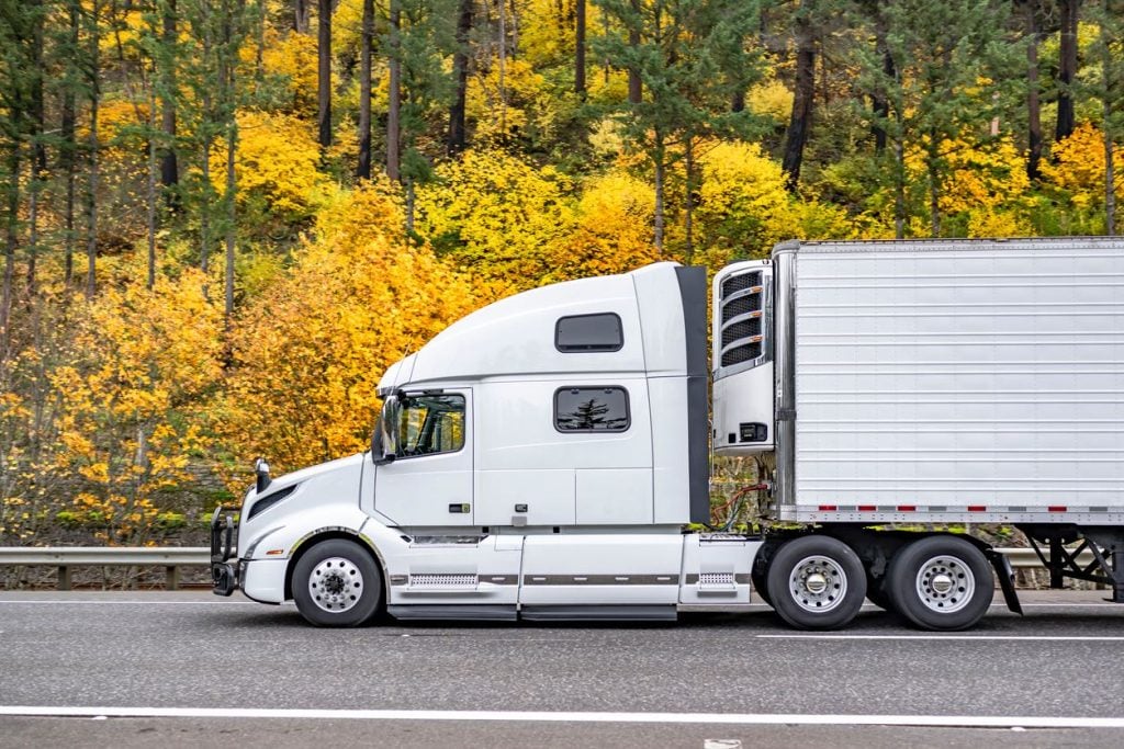 Exploring the Logistics Landscape by Understanding the Roles of Shippers and Freight Forwarders