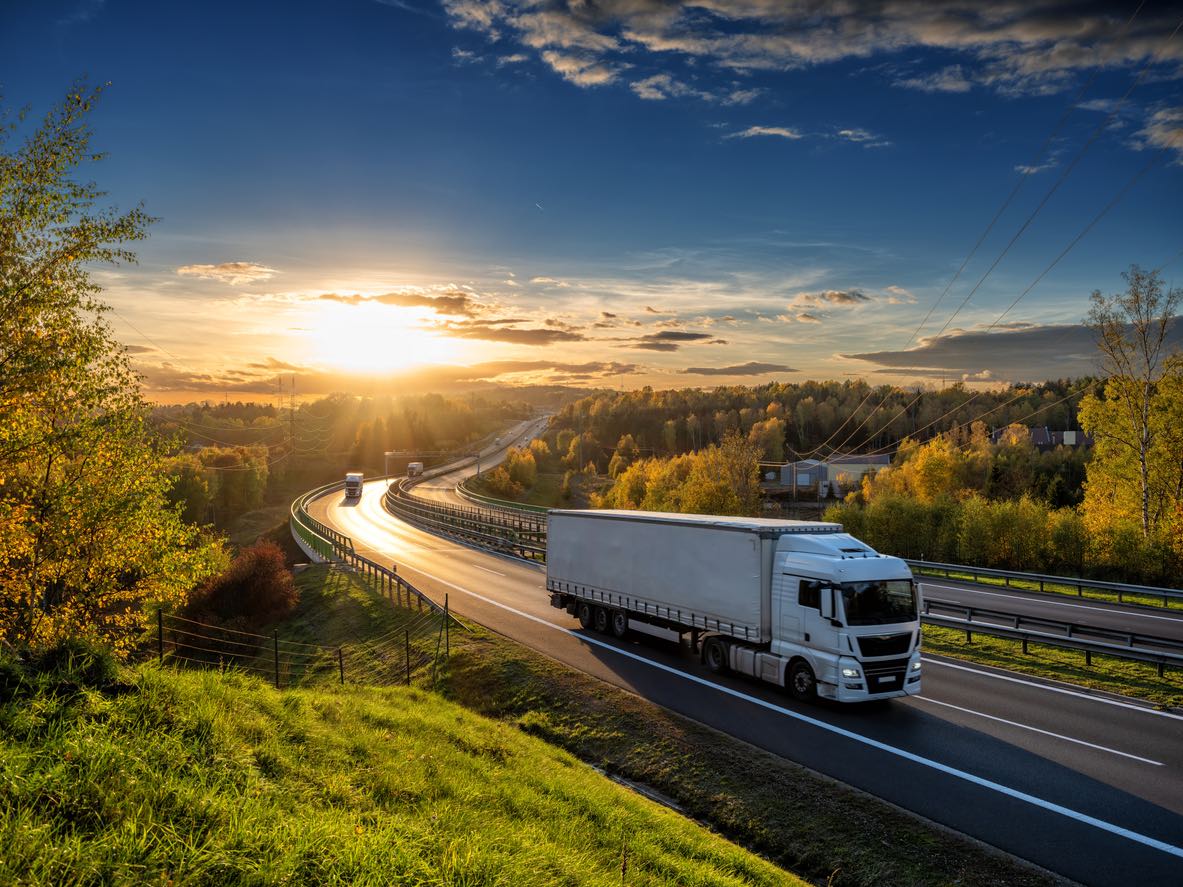 Options Galore for Seamless State-to-State Car Shipping