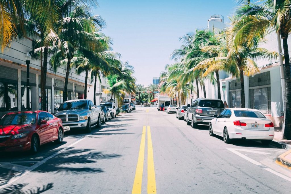 Palm lined street with parked cars