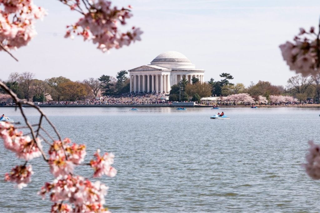 Ship a Car from Washington DC to Houston Texas with Reliable Auto Transport
