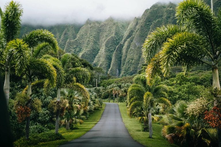Ship a Car to Hawaii with Ease