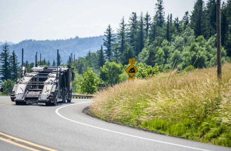Car hauler on a winding road through green forest