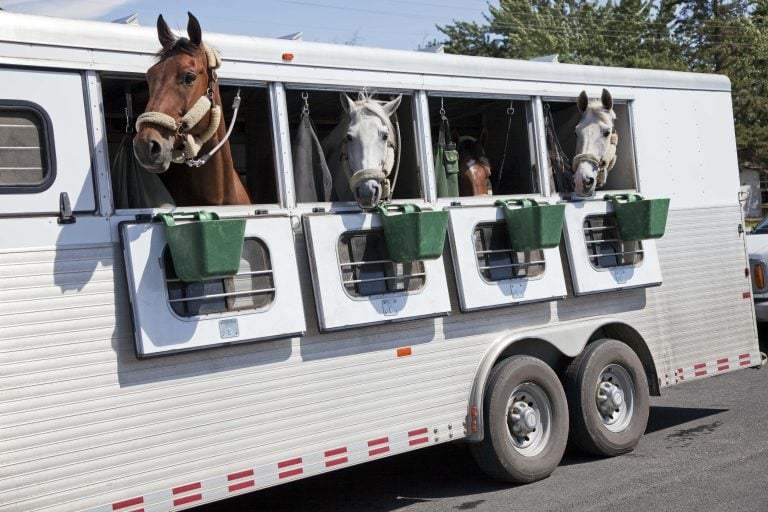 Horse Trailer