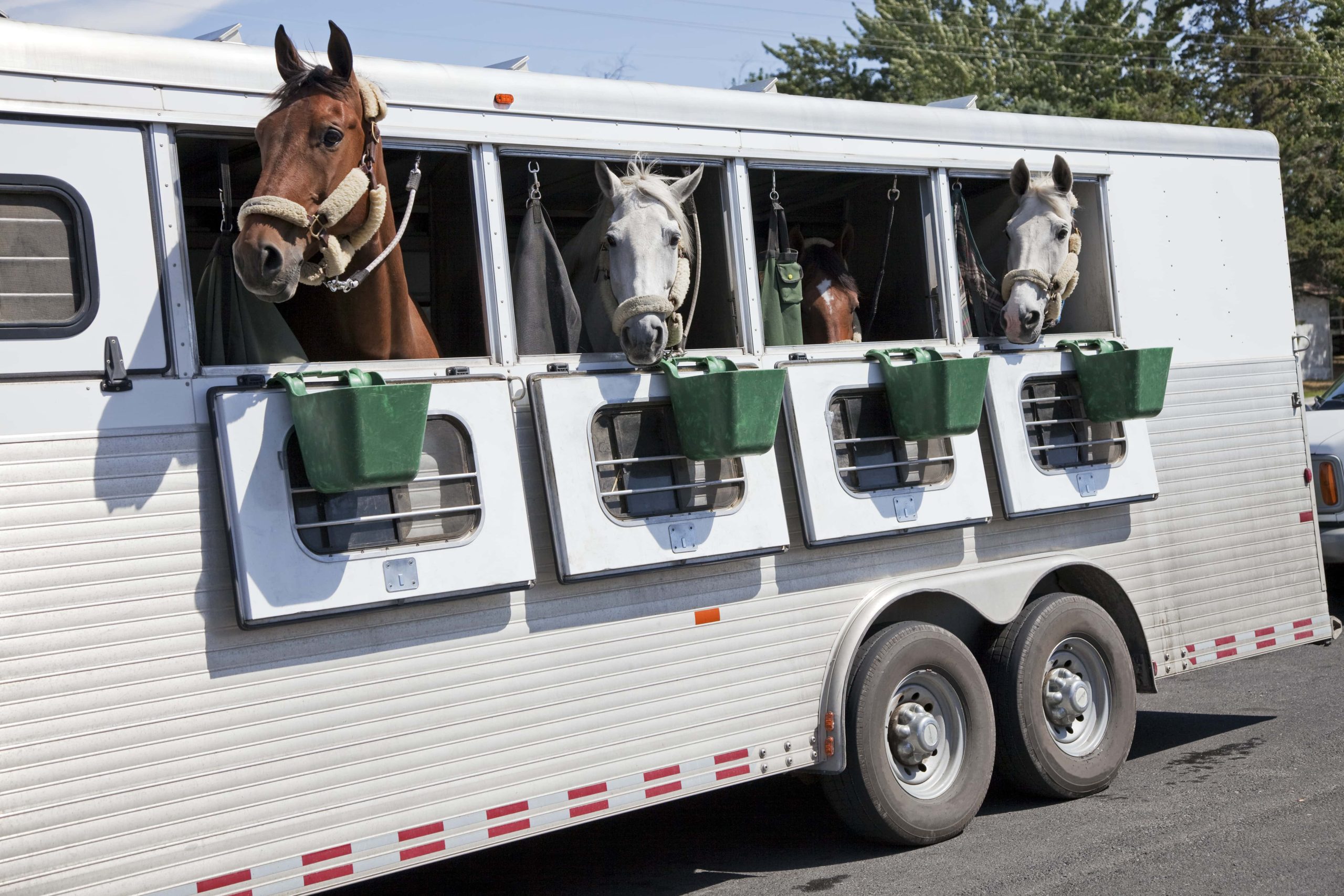 Horse Trailer Shipping - Frequently Asked Questions