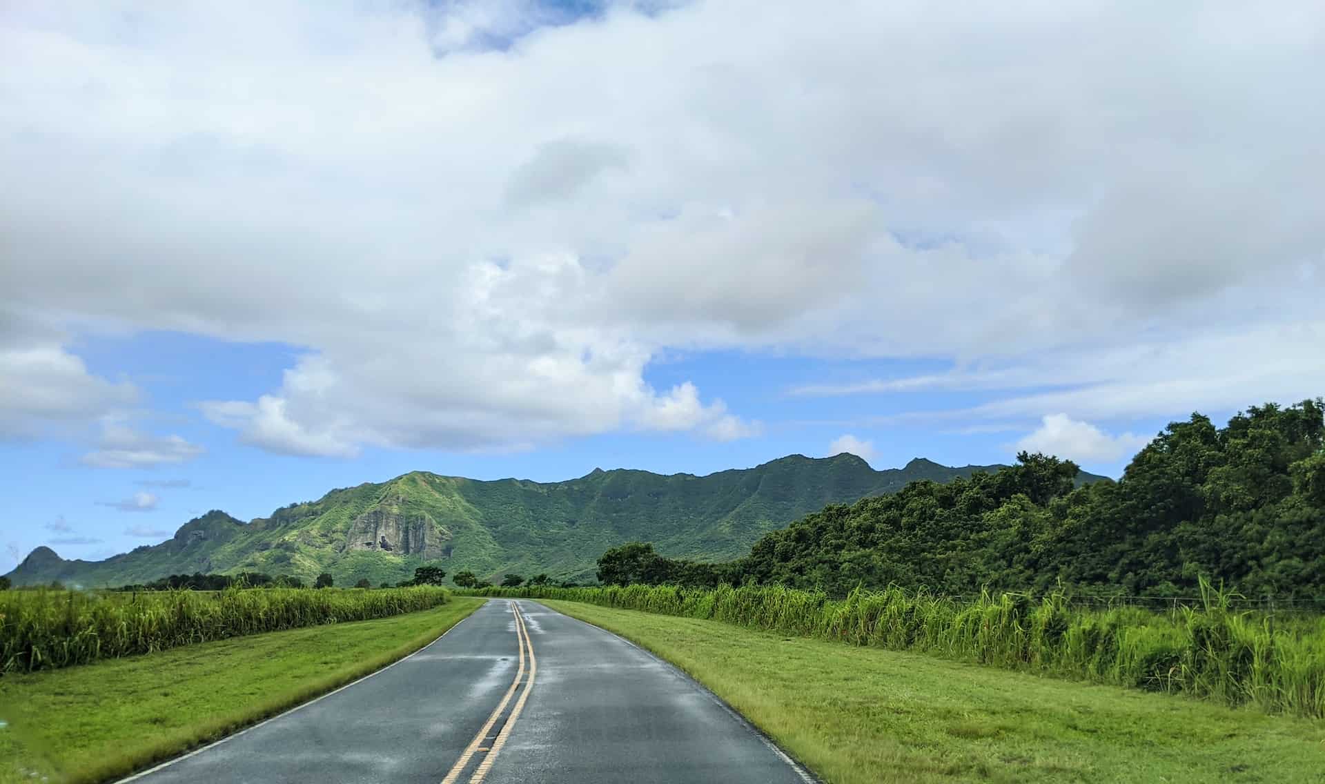 Hawaii Auto Transport - Frequently Asked Questions