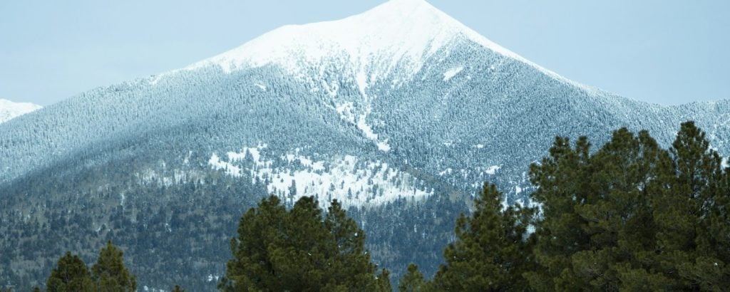 Snowy San Francisco Peaks above the pines, Flagstaff, AZ