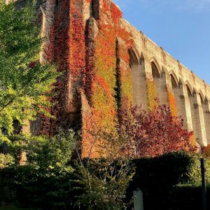 Deering Library with autumn ivy at Northwestern University in Evanston, Illinois