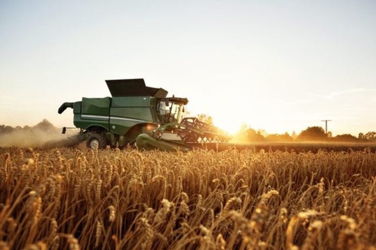 Combine harvesting a wheat field at sunset
