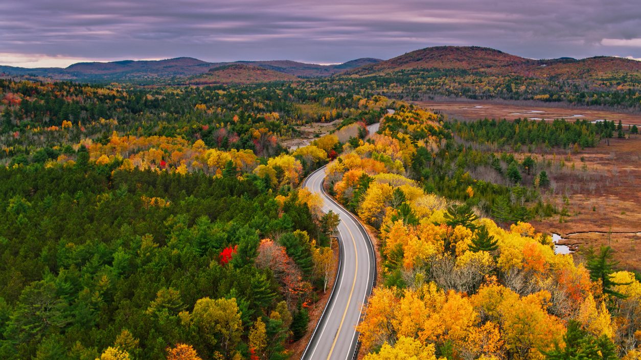 Aerial view of a road through forest in autumn colors