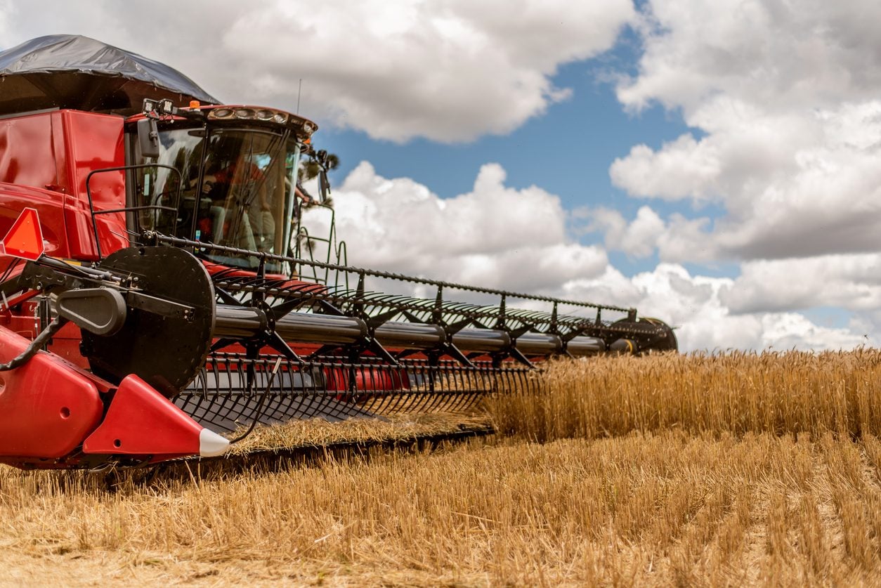Combine harvester cutting a wheat field