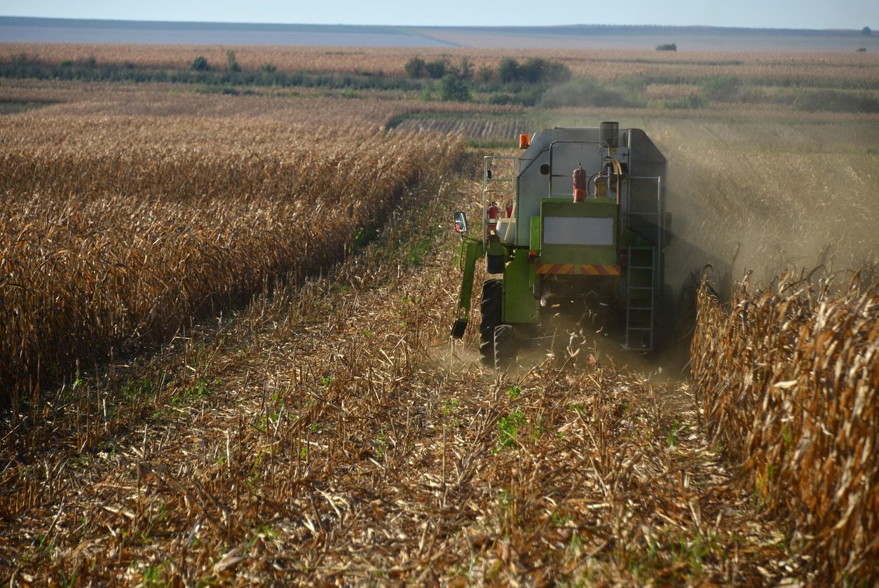 Corn harvester working a field at harvest