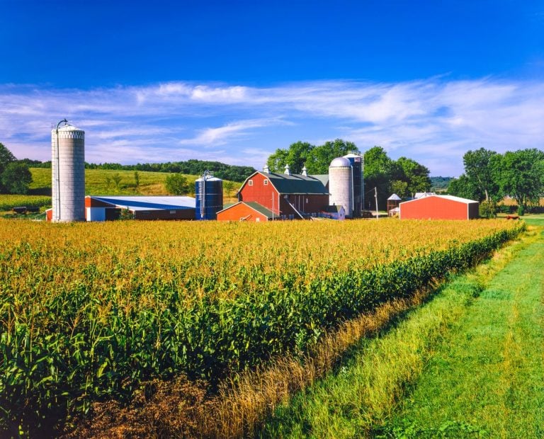Electric Trucks, Corn Growers and the EPA Emissions Fight