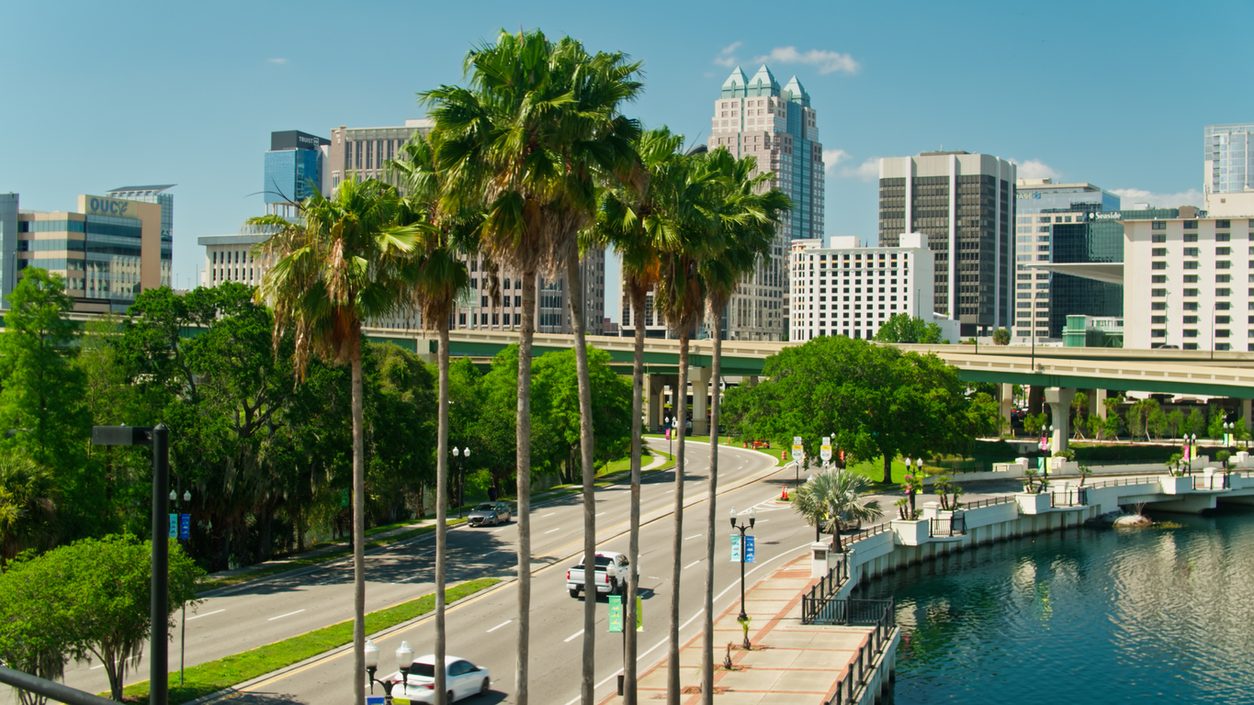 Palm lined road in front of the Orlando skyline