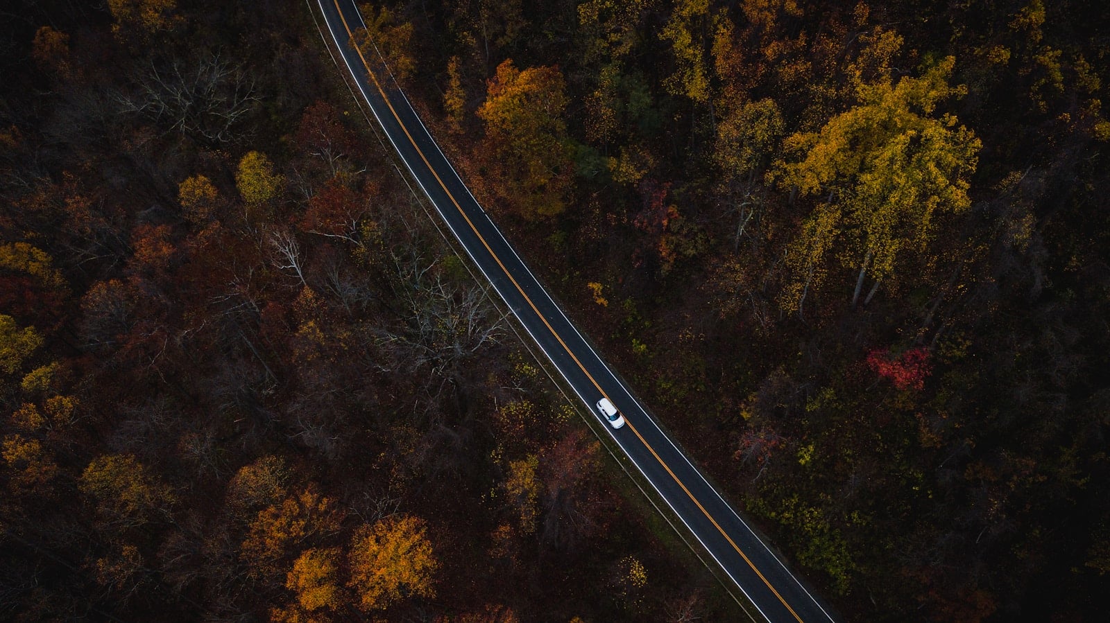 Aerial view of a single car on a two-lane road through autumn forest