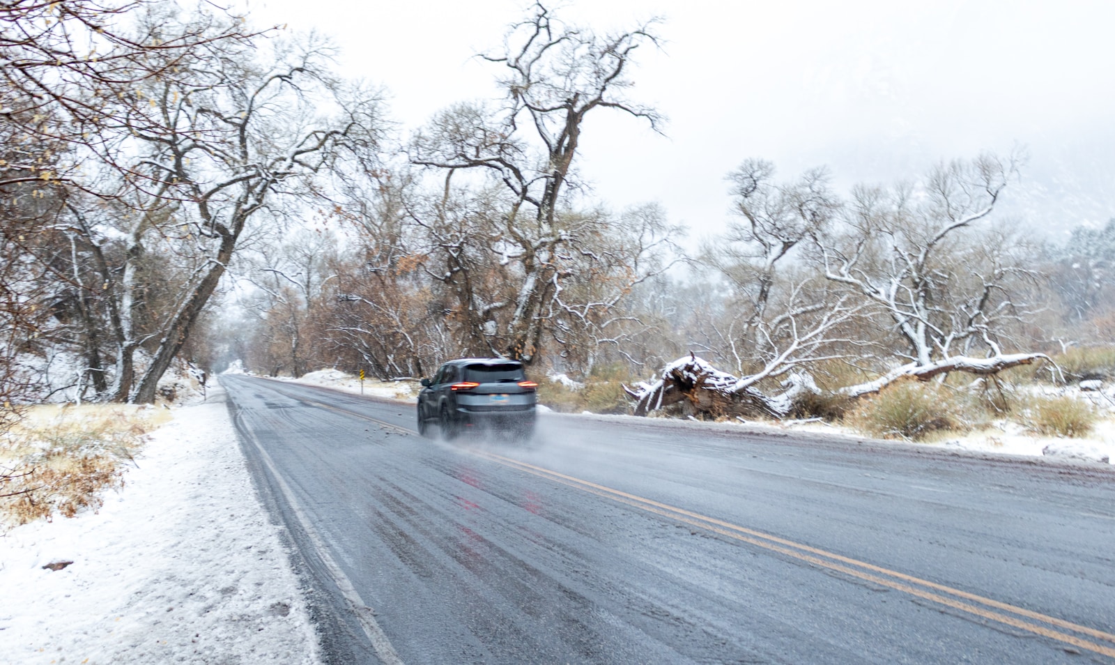 SUV driving a snowy tree-lined highway in winter spray