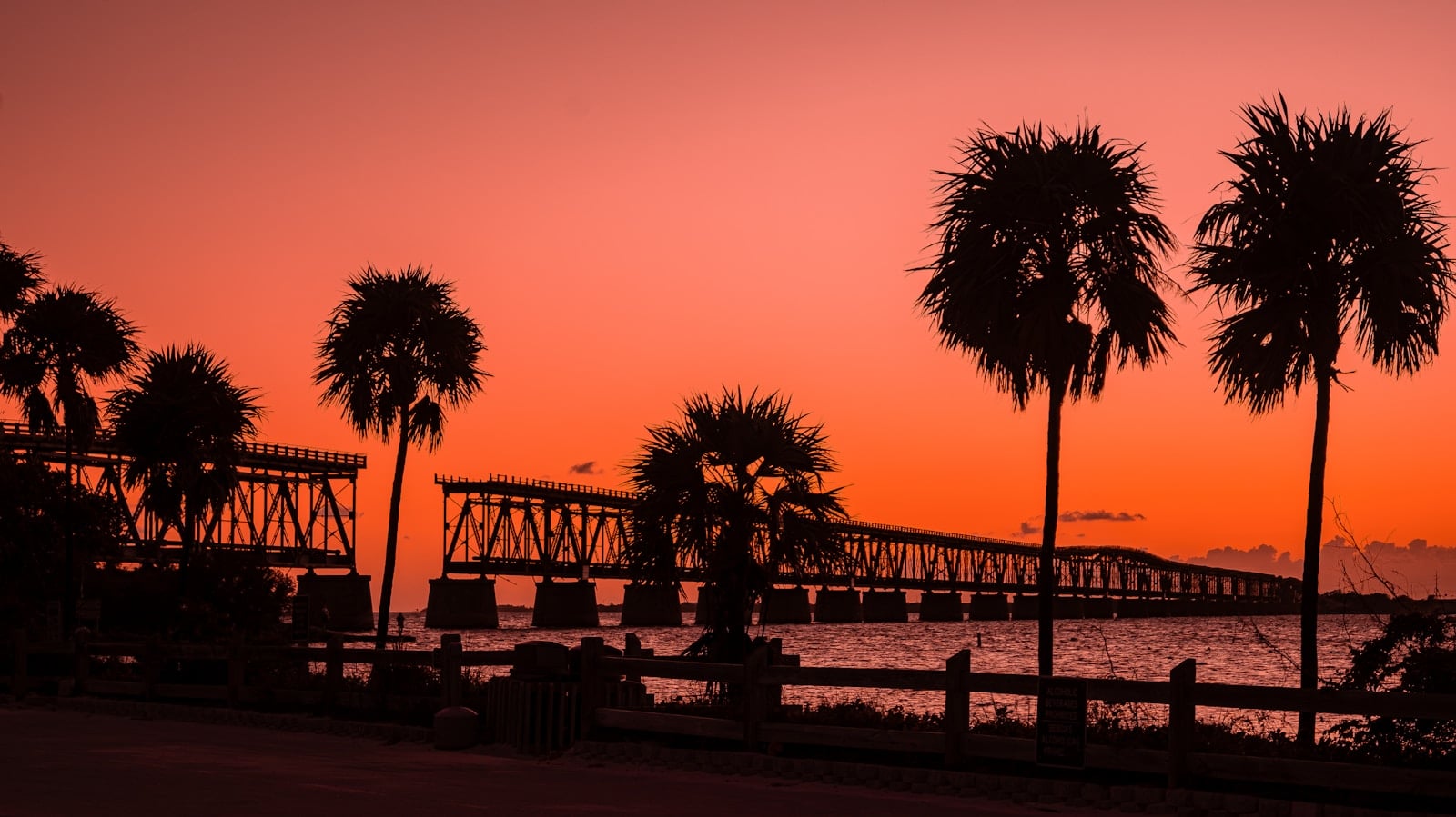 Palm trees and the old Bahia Honda rail bridge silhouetted at sunset in the Florida Keys